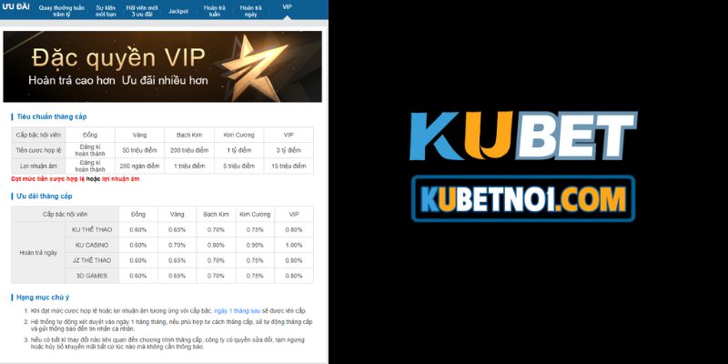 Hội Viên Vip Kubet Và Ưu Đãi Đặc Quyền Khi Thăng Vip 5 Lưu ý khi thăng hạng lên Vip Kubet